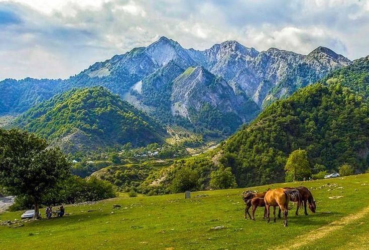 مدينة غابالا أرخص 5 فنادق