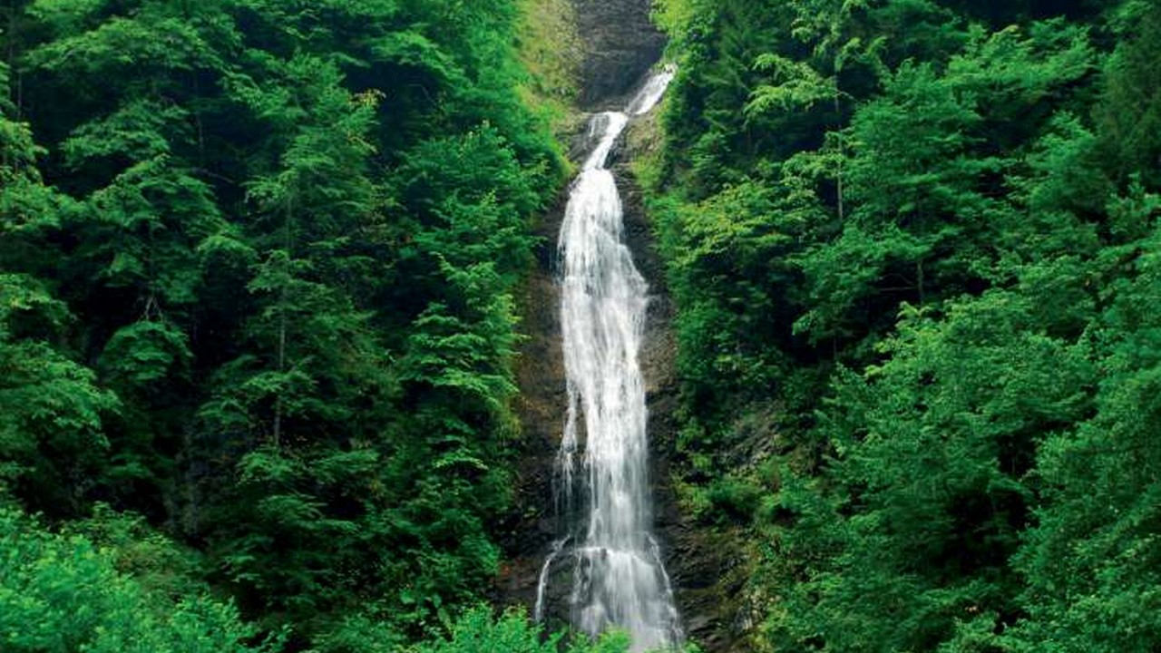 رحلة ايدر طرابزون