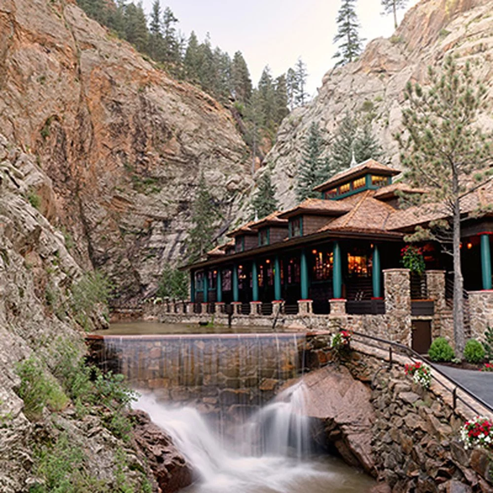 مطاعم نباتية عضوية