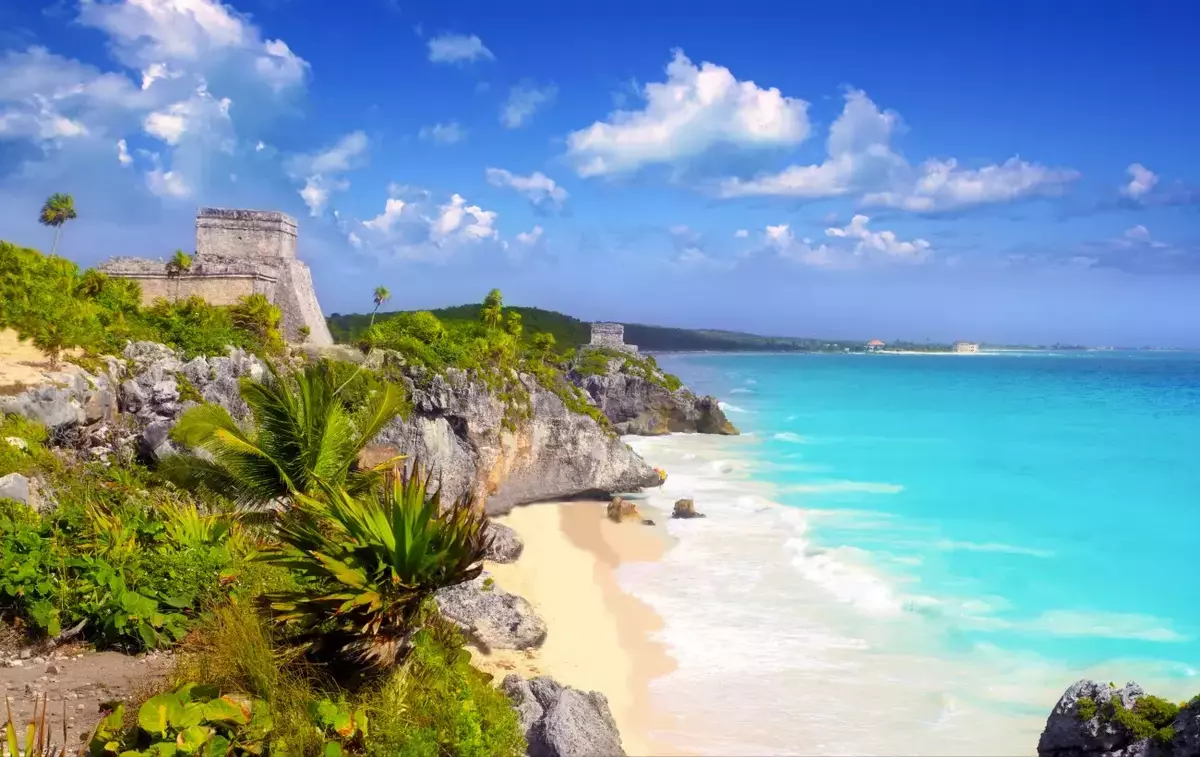 باقات شهر العسل