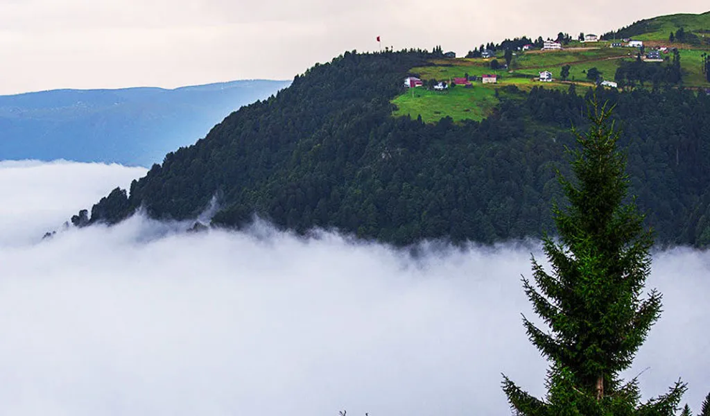 رحلة شهر العسل في طرابزون