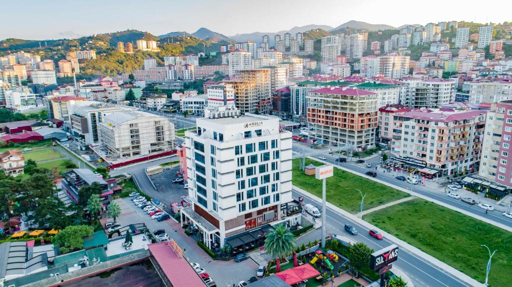 فندق Aselia Trabzon