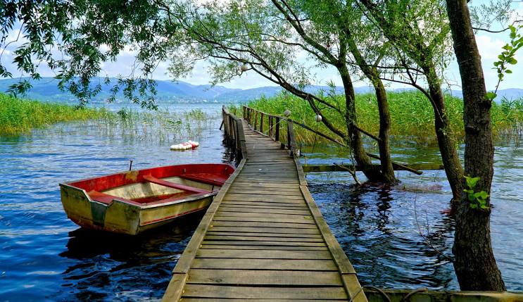 الباقات الاقتصادية